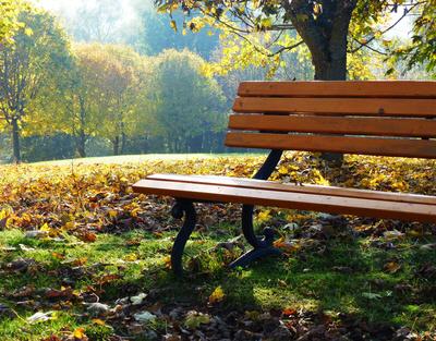 schne Herbstbank